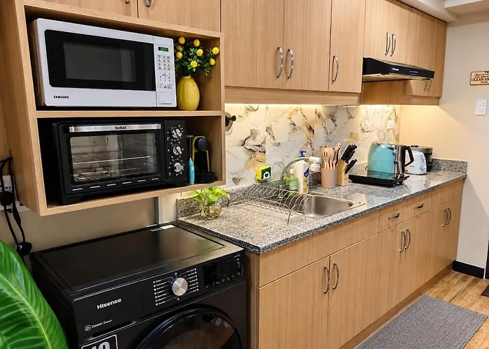 Apartment Brand New Fully Furnished 1 Bedroom With Balcony In Paranaque